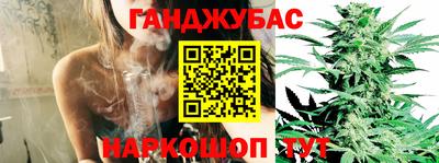 сатива Лесосибирск