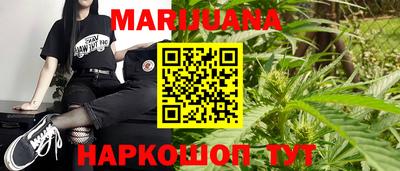сатива Лесосибирск