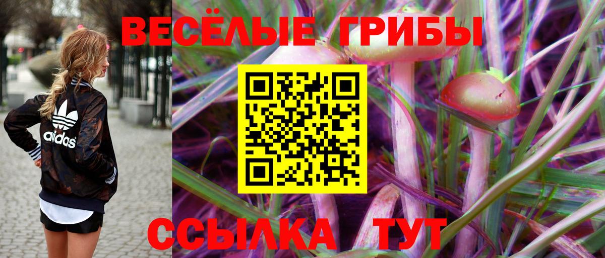 Татарск  Псилоцибиновые грибы Psilocybine cubensis  Вход с VPN 