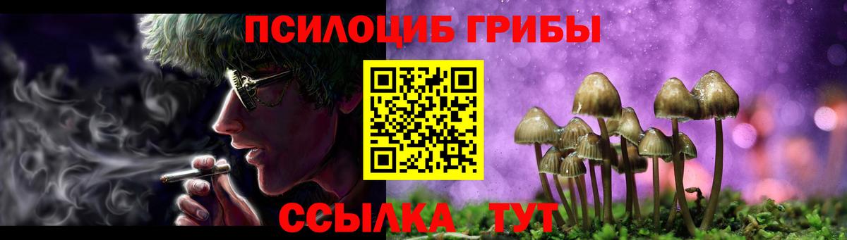 Псилоцибиновые грибы мухоморы Татарск